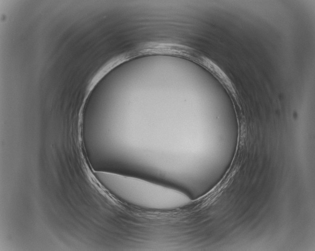 X0000083661386200702120829
