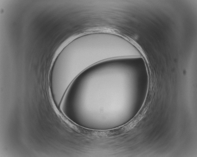 X0000083661389200702120829