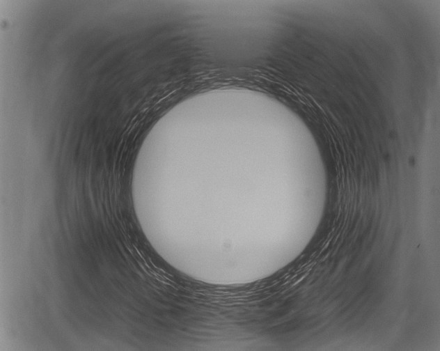 X0000083661394200702120828