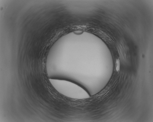 X0000083661395200702120828