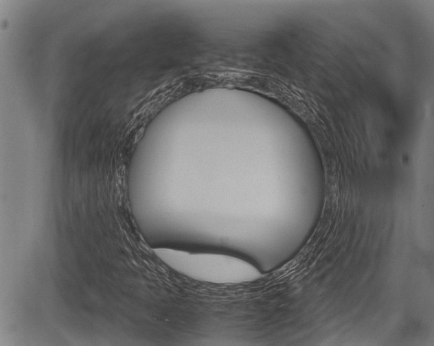 X0000083661397200702120828