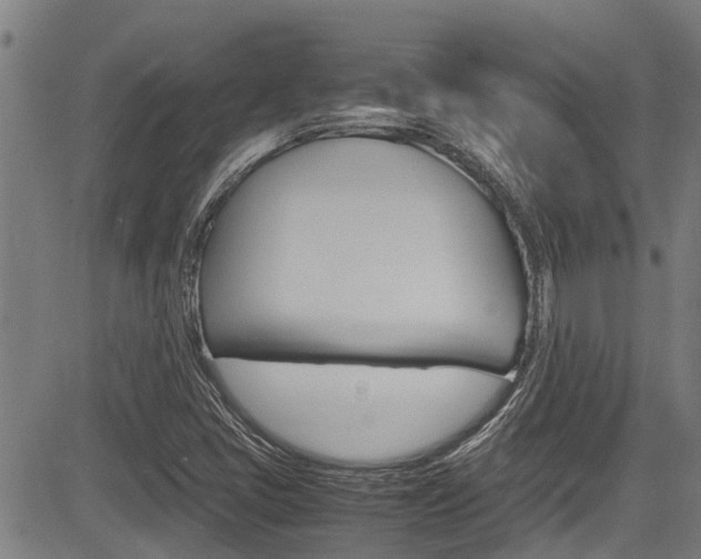 X0000083661405200702120828
