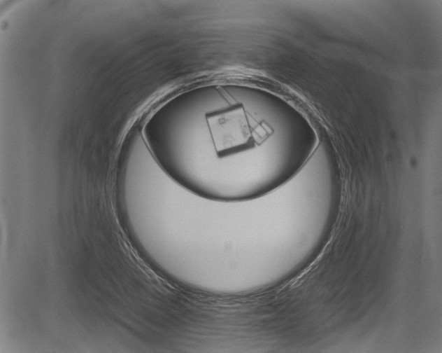 X0000083661410200702120828