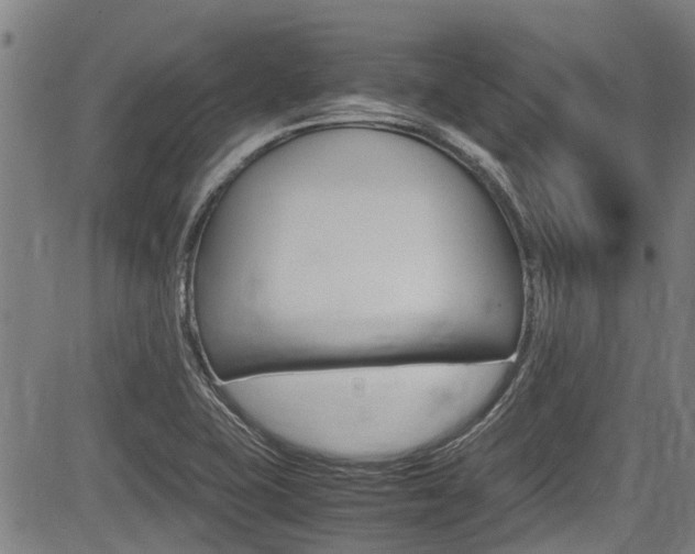 X0000083661415200702120828