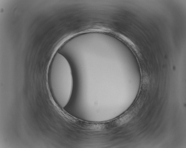 X0000083661423200702120828