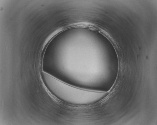 X0000083661426200702120828