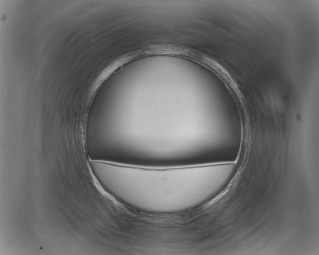 X0000083661433200702120829