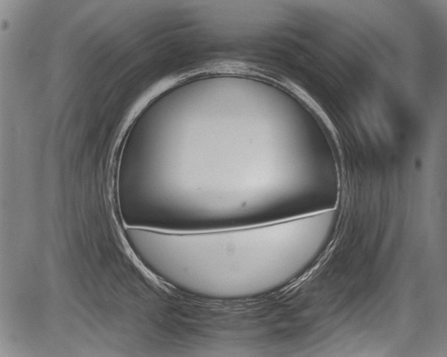 X0000083661437200702120829