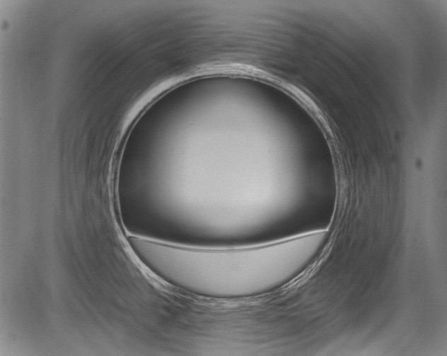 X0000083661438200702120829