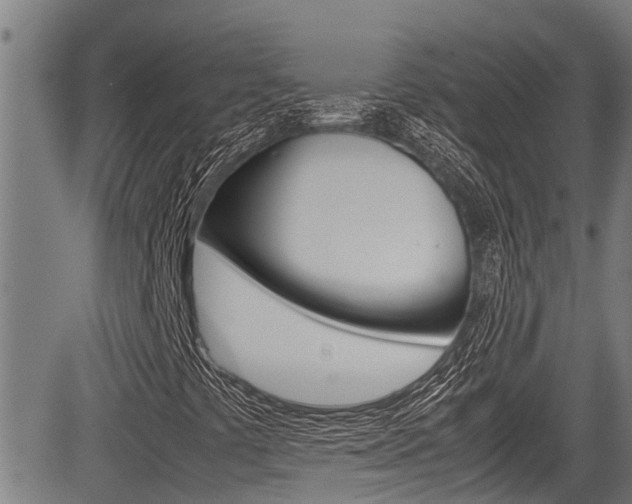 X0000083661441200702120828