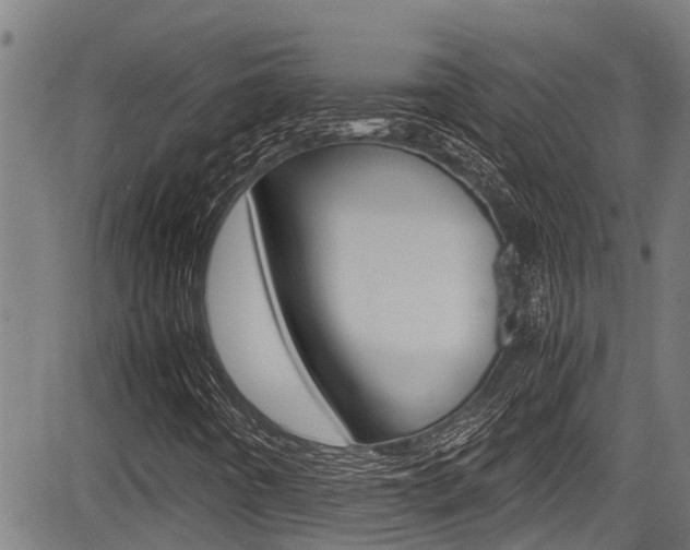 X0000083661442200702120828