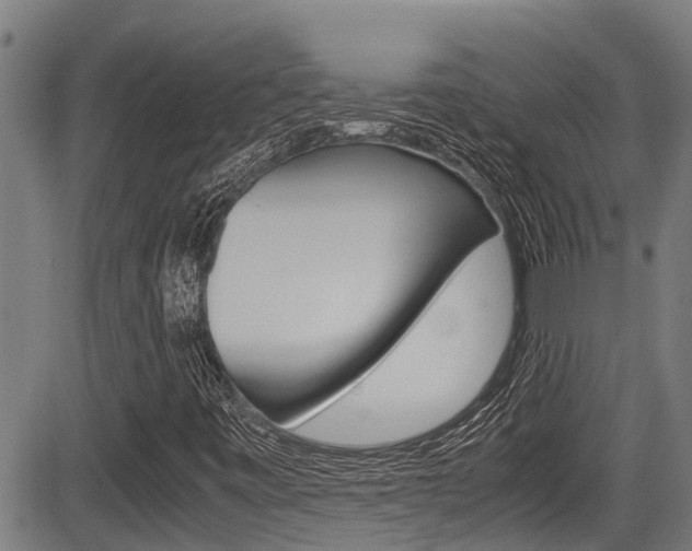 X0000083661443200702120828