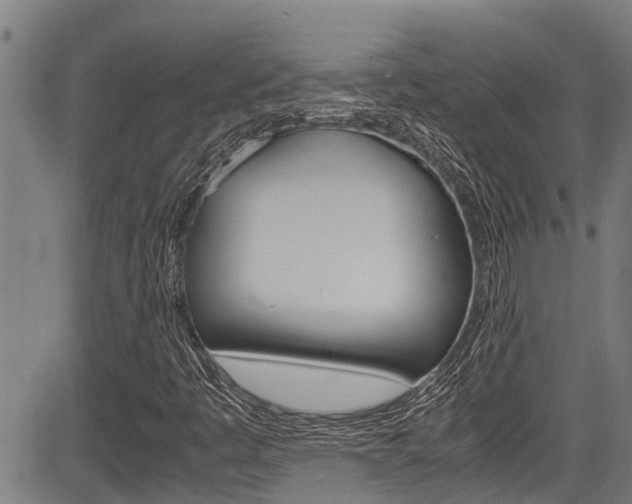 X0000083661445200702120828