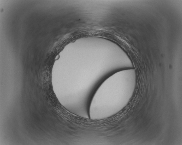 X0000083661447200702120828