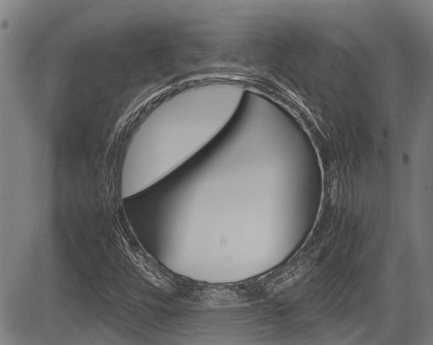 X0000083661448200702120828