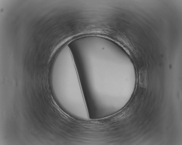 X0000083661452200702120828