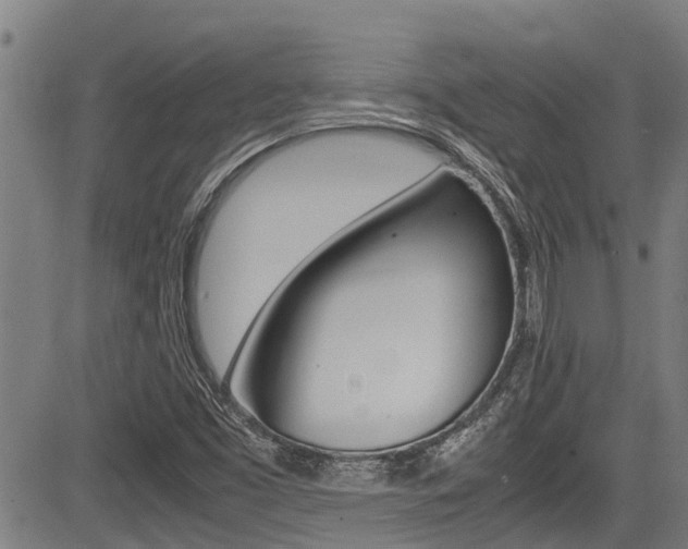 X0000083661453200702120828