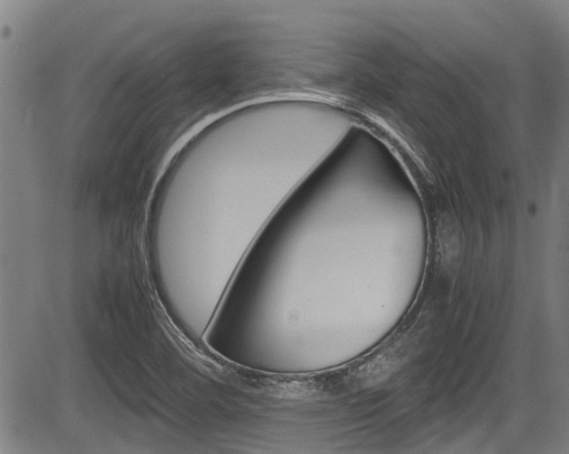 X0000083661460200702120828