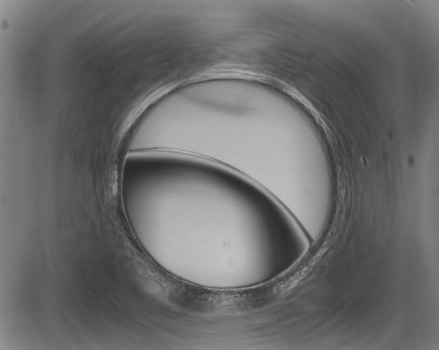 X0000083661461200702120828