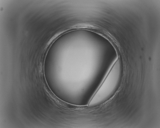 X0000083661465200702120828
