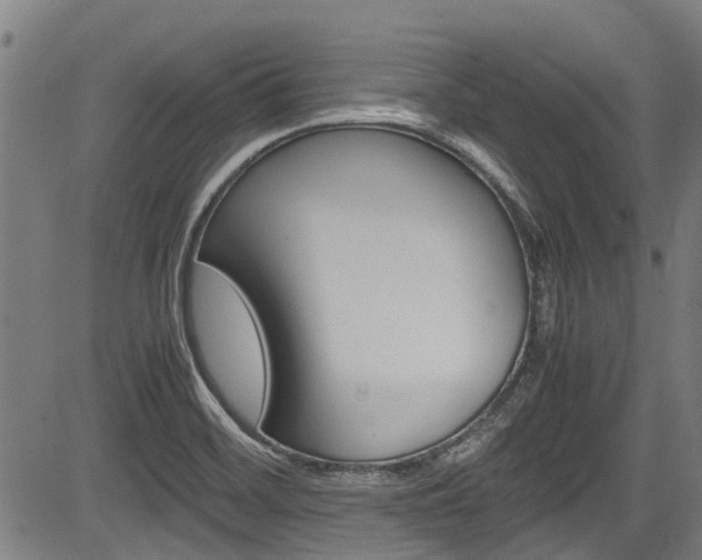 X0000083661468200702120827