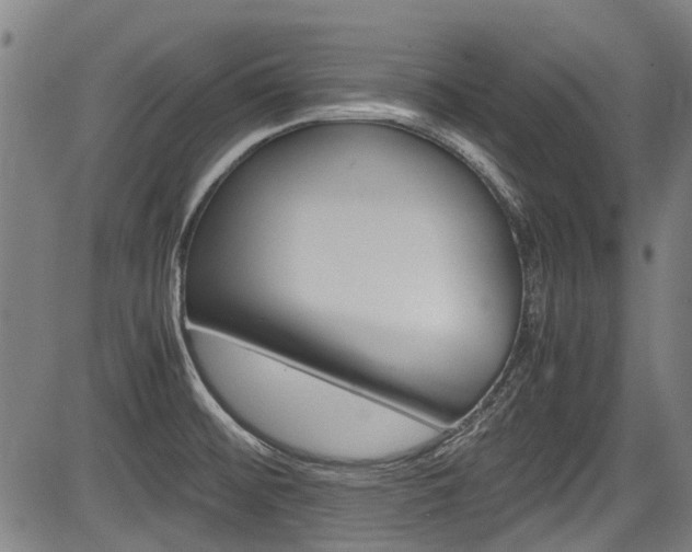 X0000083661476200702120827