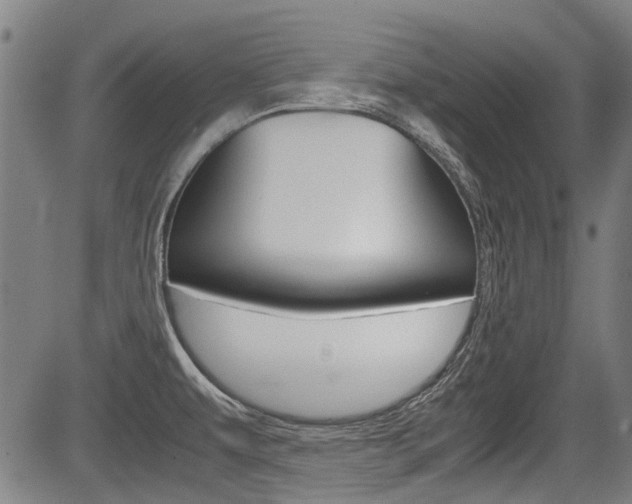 X0000083661479200702120827