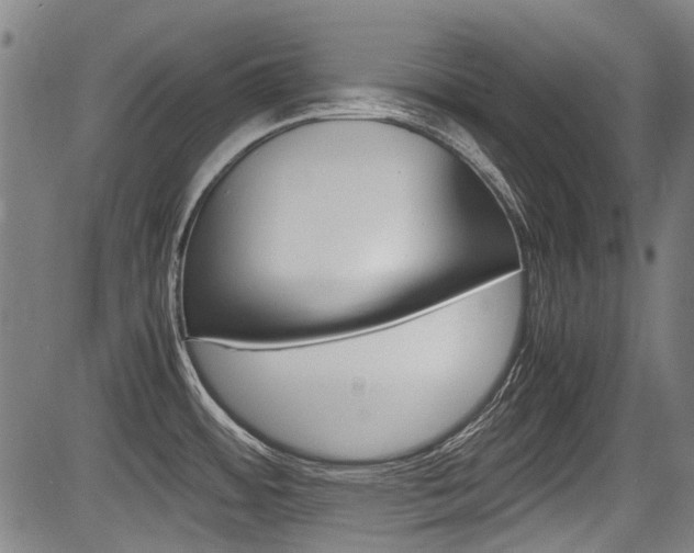 X0000083661484200702120827
