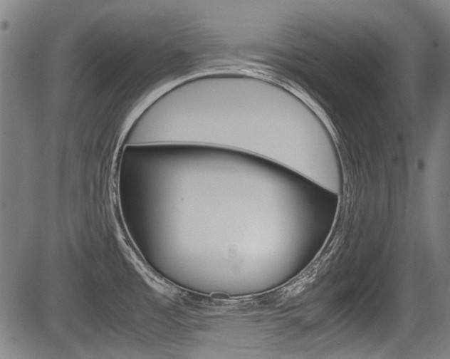 X0000083661485200702120827