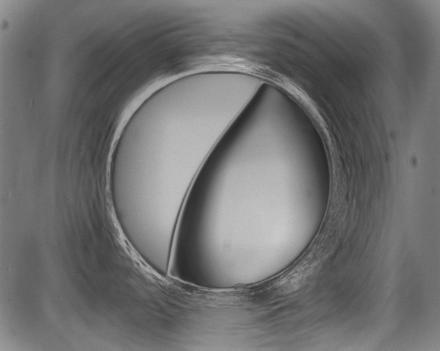 X0000083661488200702120827
