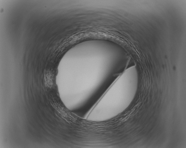 X0000083661490200702120826