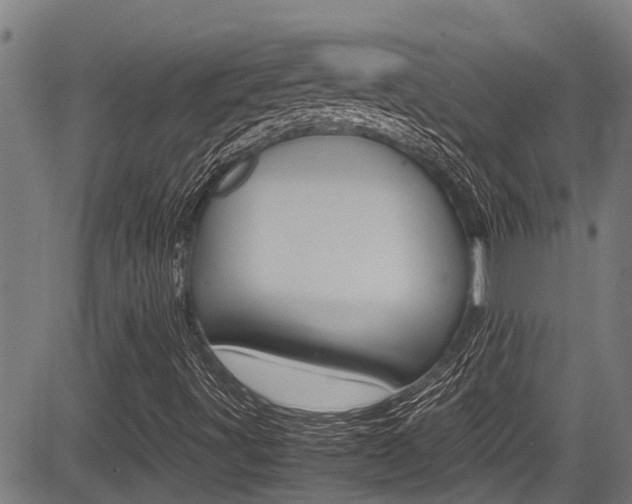 X0000083661491200702120826