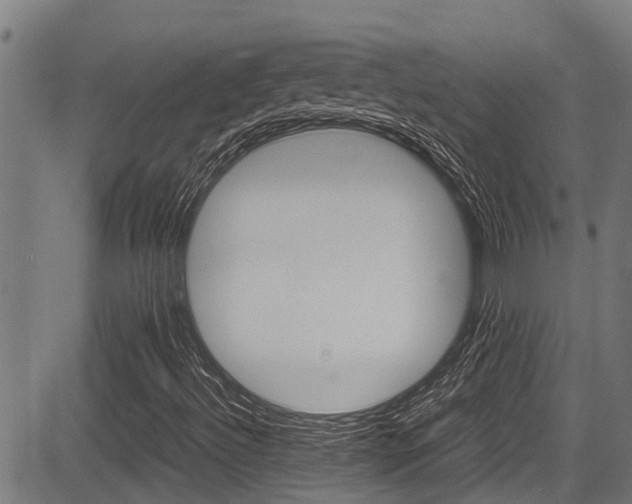 X0000083661492200702120826