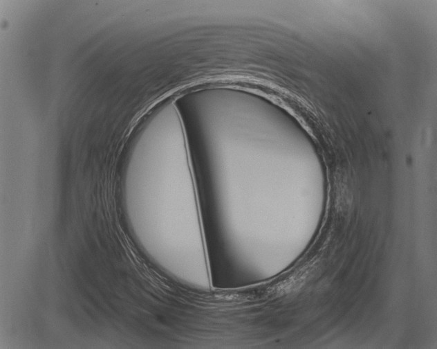 X0000083661497200702120827