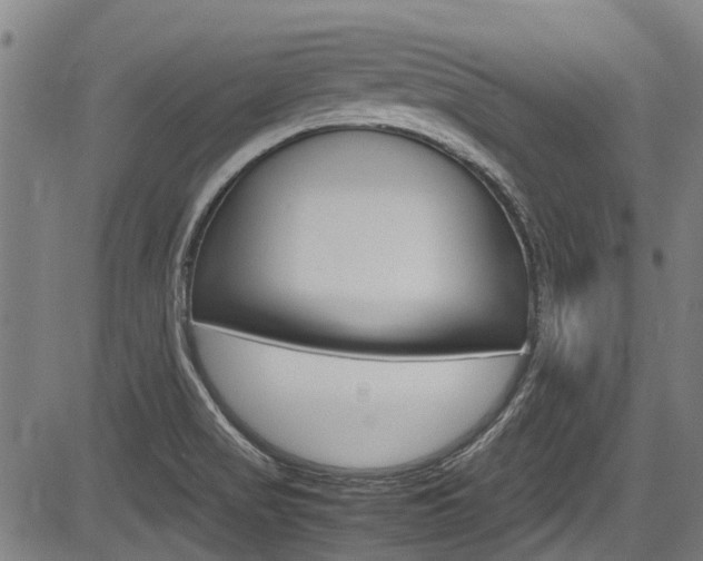X0000083661517200702120827