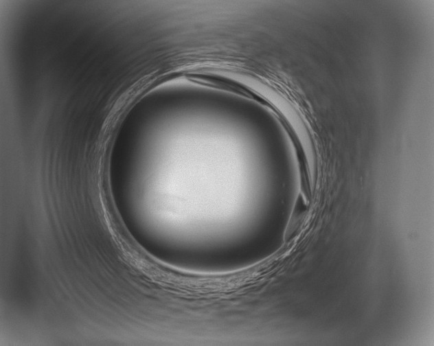 X0000083660001200702121228
