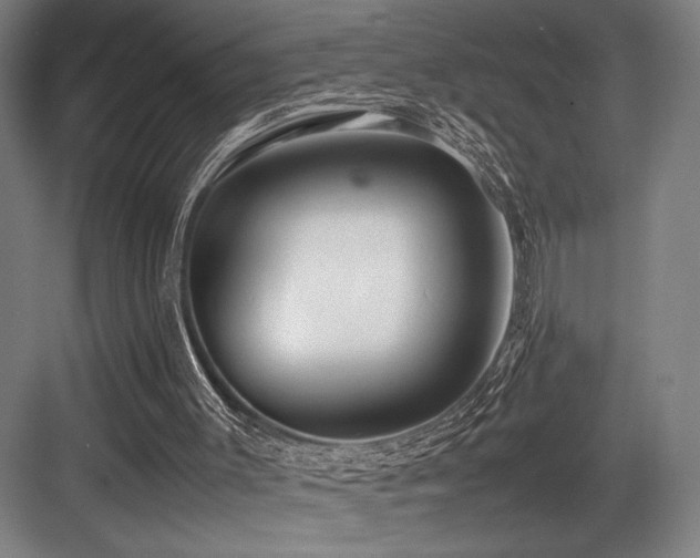 X0000083660003200702121228