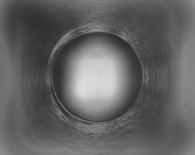 X0000083660004200702121228