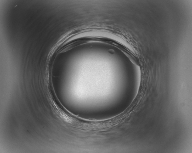X0000083660005200702121228