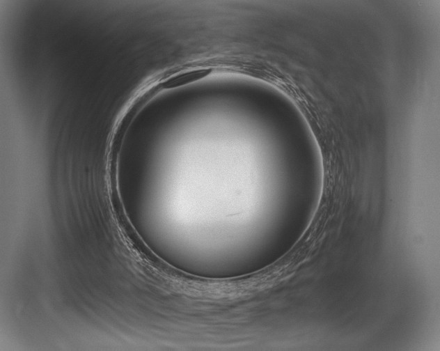 X0000083660006200702121228