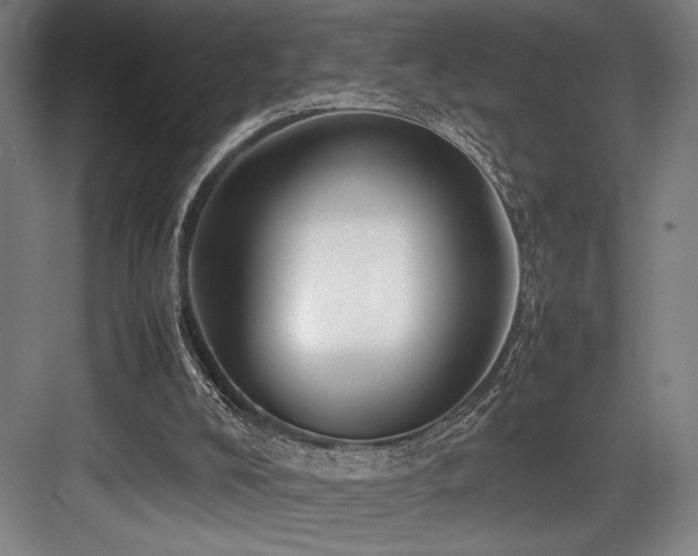 X0000083660008200702121228
