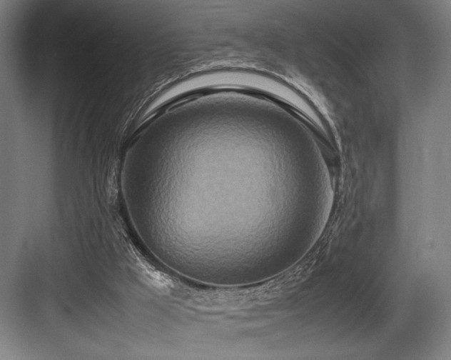 X0000083660009200702121228