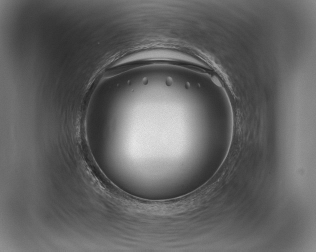 X0000083660010200702121228