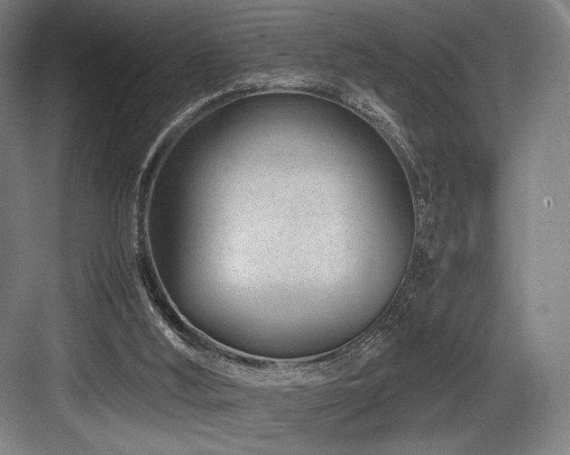 X0000083660012200702121228