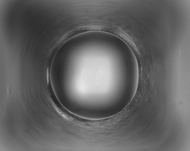 X0000083660013200702121228