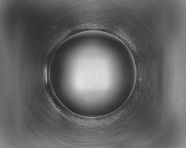 X0000083660014200702121228