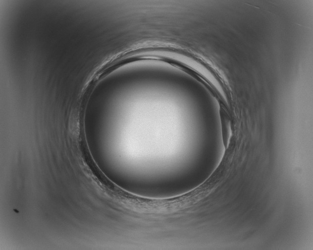 X0000083660015200702121228