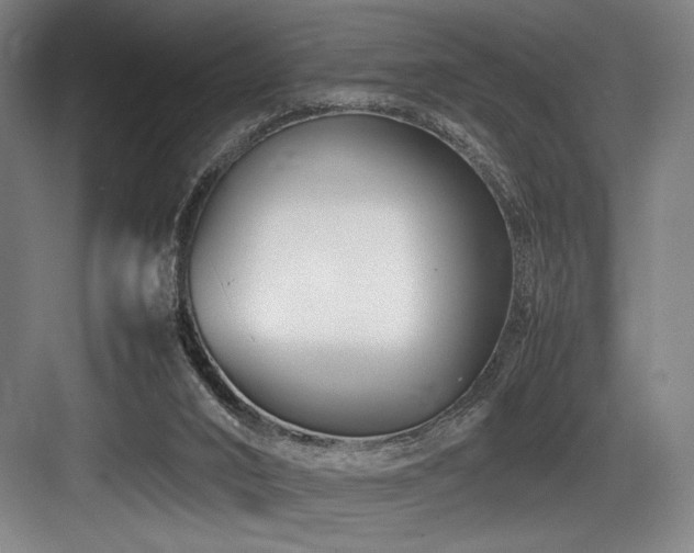 X0000083660016200702121228