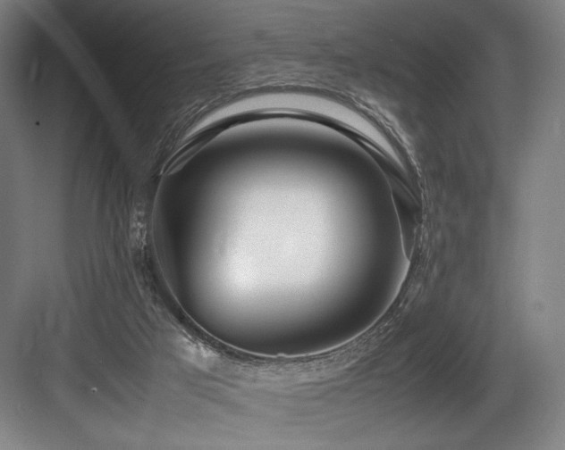 X0000083660017200702121228