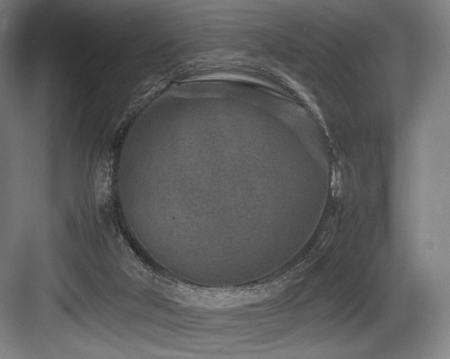 X0000083660018200702121228